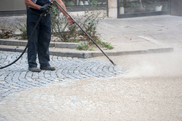 Best Driveway Pressure Washing  in Ocean View, DE