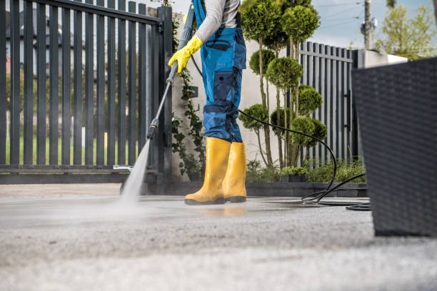 Animal Enclosure Cleaning in Ocean View, DE